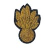 Officer's Cap Badge